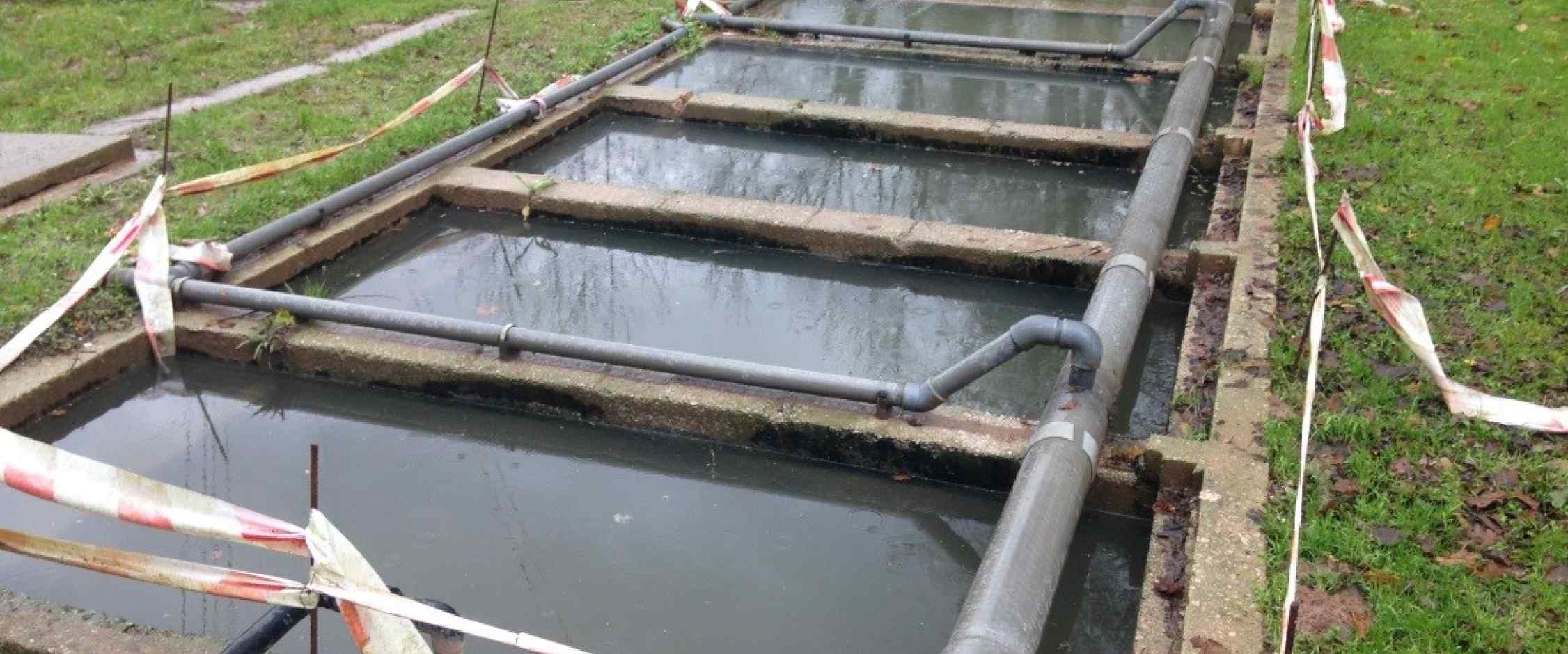 Reactor biológico