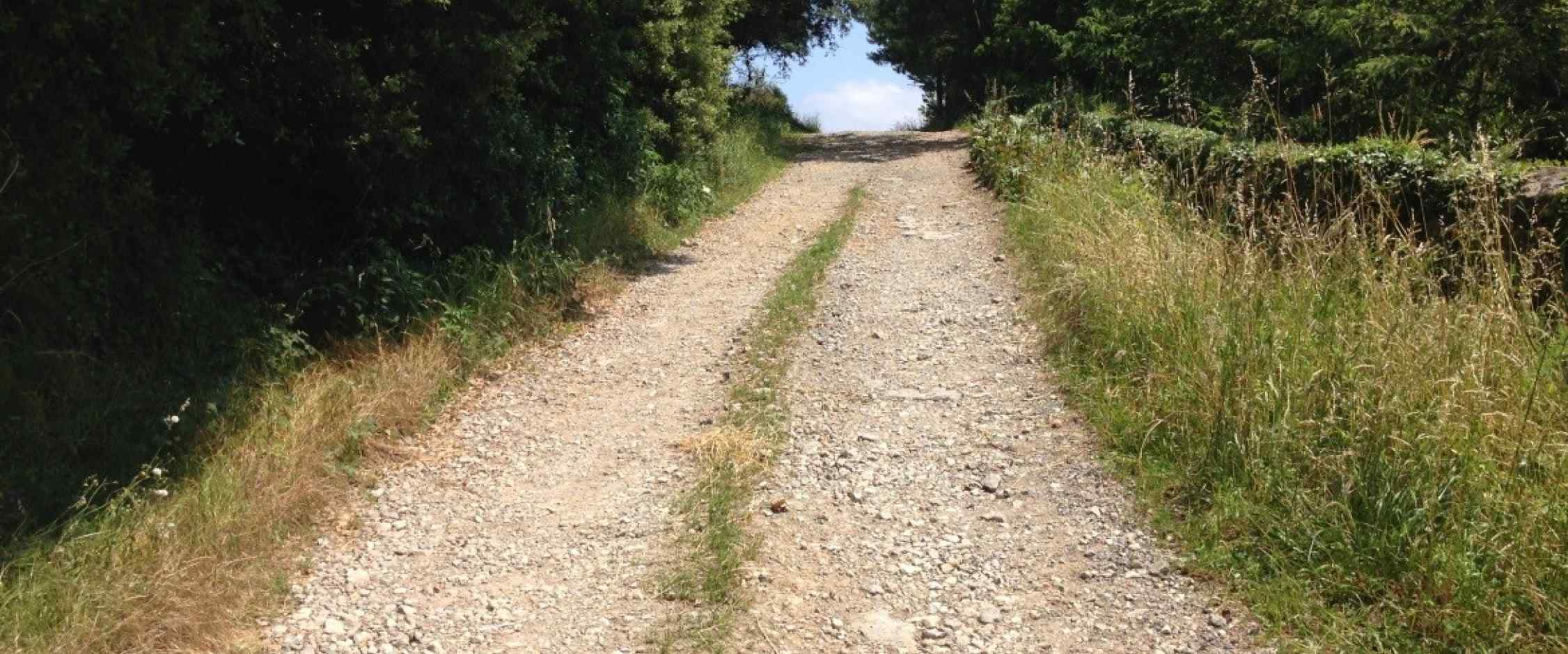 Estado del camino en su inspección