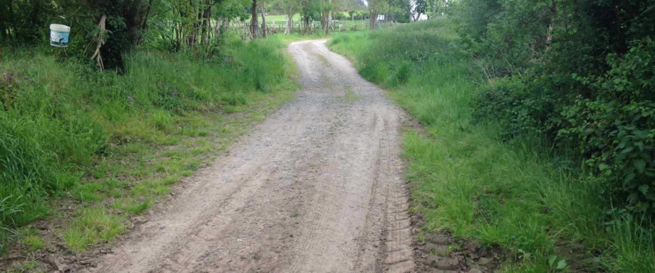Estado del camino en su inspección
